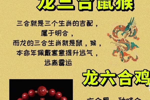 1988属龙几岁遇真爱_1988属龙男几岁遇真爱