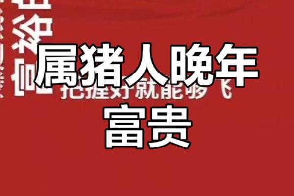 59年属猪的晚年命运如何_59年属猪的晚年命运如何男人