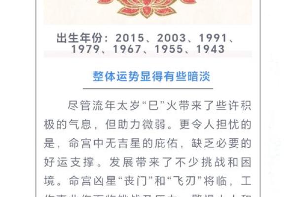 龙2025年运势及运程详解_2025蛇年运势查询