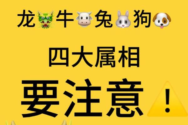 88年属龙人2025年的运势及运程_88年属龙人2025年的运势及运程9 月8 日