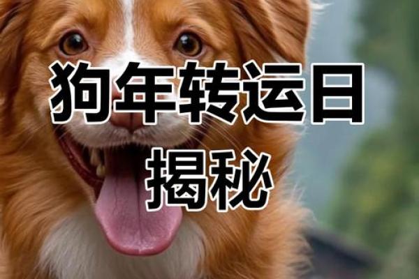 属狗女2025年三大喜事_属狗女2025年三大喜事事业爱情财运齐爆发 属狗女2025年三大喜事_属狗女2025年三大喜事事业爱情财运齐爆发