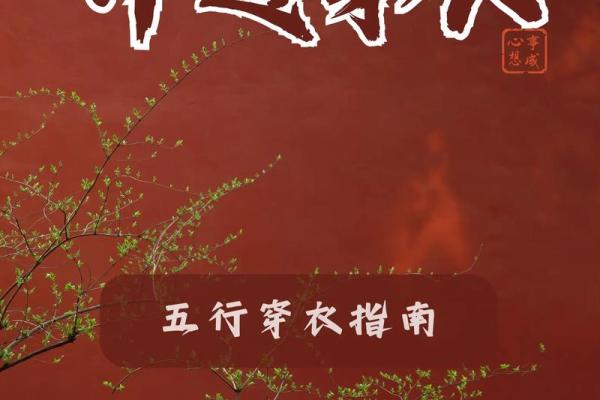 2025.4.9五行穿衣指南(五行穿衣2025.12.1.-4.)