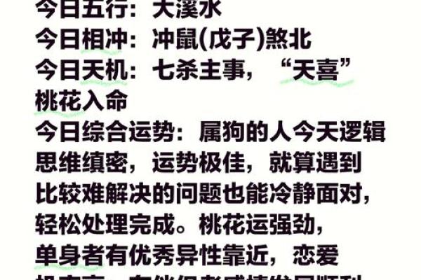 2025年属狗女性全年运势详解事业财运爱情全解析