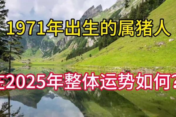 1971属猪2025运势及运程详解_1971属猪大难与大运年 1971属猪2025运势及运程详解_1971属猪大难与大运年