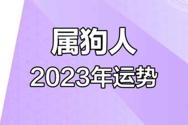 2025年属狗人高考运势_2023年属狗的高考运势