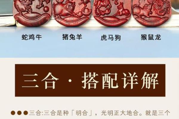 属龙跟属鸡的姻缘怎么样_2024年龙鸡姻缘解析盛夏婚配运势大揭秘 属龙跟属鸡的姻缘怎么样_2024年龙鸡姻缘解析盛夏婚配运势大揭秘