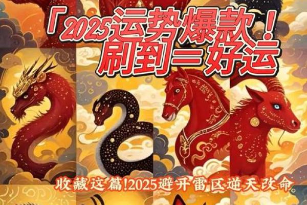 1983属猪2025年运势详解全年运程大揭秘