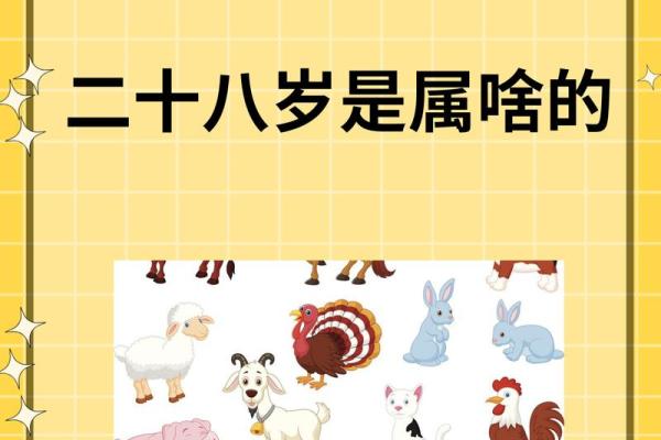 95年2025年属猪人的全年运势 95年生肖猪2023年运势
