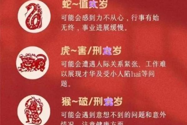 1971属猪2025年运势及运程详解 2025属猪三喜临门 1971属猪2025年运势及运程详解 2025属猪三喜临门