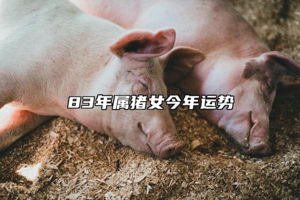 1983年属猪人2025年全年运势及运程_1983年属猪人2025年运势详解全年运程预测与建议 1983年属猪人2025年全年运势及运程_1983年属猪人2025年运势详解全年运程预测与建议