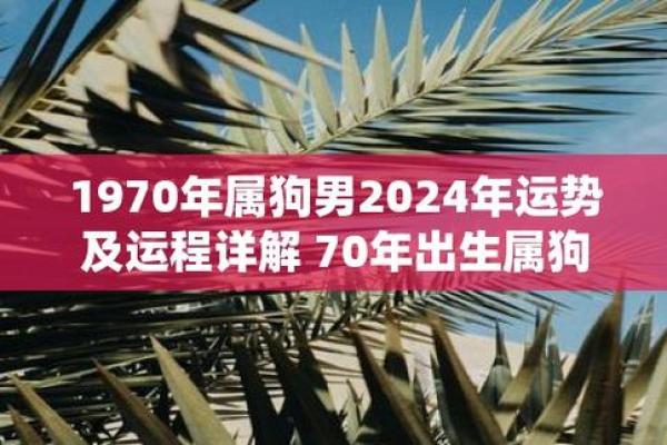 70年属狗2025年运势完整版_73年属牛2025年运势完整版