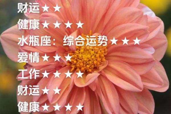 2025年4月11日摩羯座今日运势 2025年4月11日摩羯座今日运势