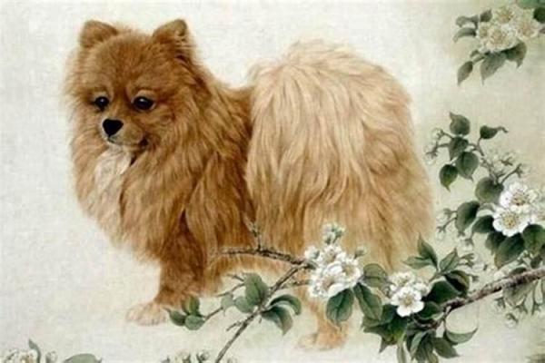 1970年属狗女2025年运势及运程_1970年属狗女2025年运势详解运程走向与关键转折点 1970年属狗女2025年运势及运程_1970年属狗女2025年运势详解运程走向与关键转折点