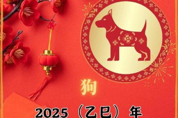 1982年狗女2025年运势_82年女狗2025年运势