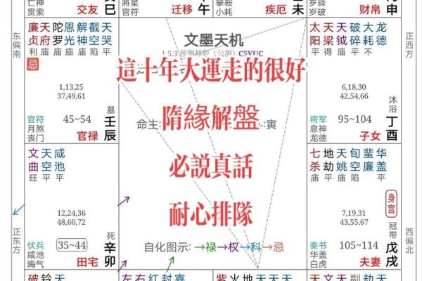 2025年4月6日午时女命紫微斗数全解盘 2025年4月6日午时女命紫微斗数全解盘
