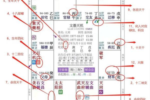 2025年4月4日卯时女命紫微斗数全解盘