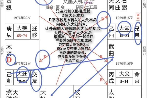 2025年4月9日亥时男命紫微斗数全解盘 2025年4月9日亥时男命紫微斗数全解盘