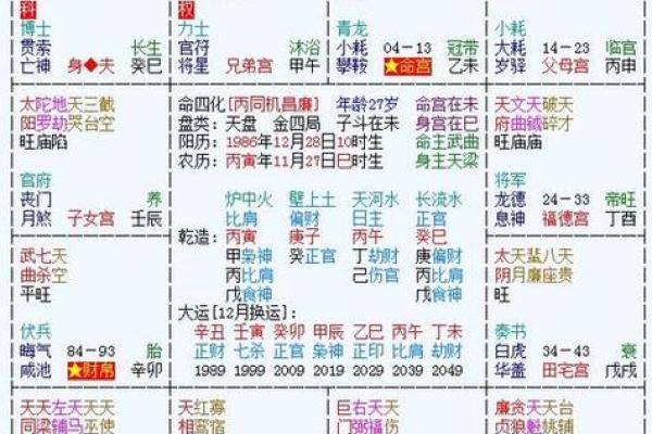 2025年4月5日丑时男命紫微斗数全解盘