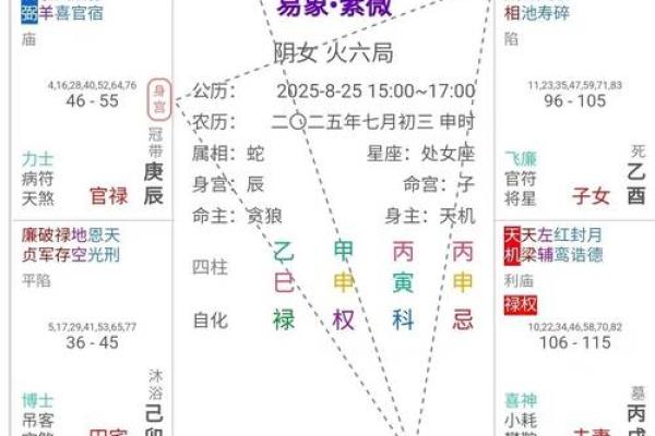2025年4月9日子时女命紫微斗数全解盘