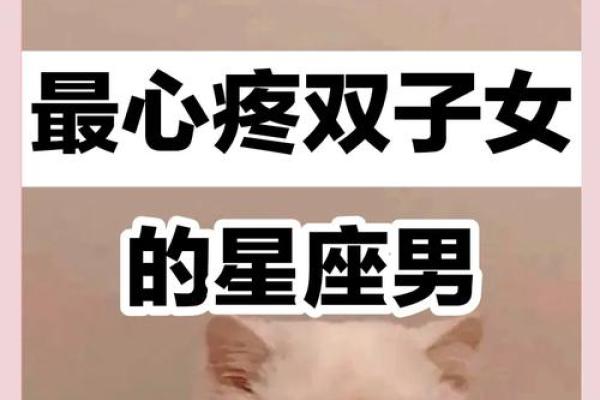 双子女把心给了哪个星座(双子女心狠吗)