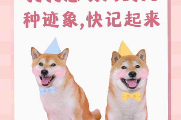 梦见狗咬自己财运怎么样