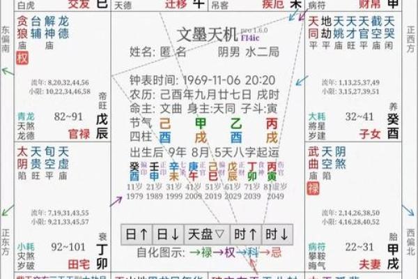 2025年4月5日卯时女命紫微斗数全解盘