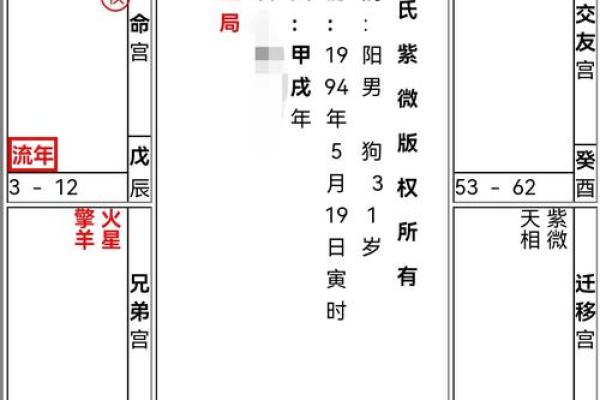 2025年4月5日巳时男命紫微斗数全解盘 2025年4月5日巳时男命紫微斗数全解盘