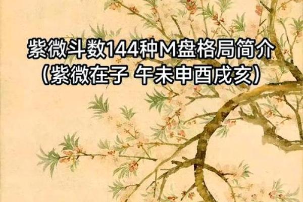 2025年4月9日午时女命紫微斗数全解盘