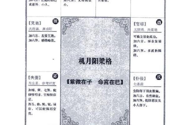 2025年4月6日酉时男命紫微斗数全解盘