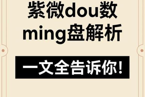 2025年4月9日酉时男命紫微斗数全解盘 2025年4月9日酉时男命紫微斗数全解盘