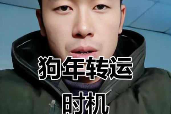 1982年狗在2025年的运势 1982年狗在2025年的运势怎么样 1982年狗在2025年的运势 1982年狗在2025年的运势怎么样