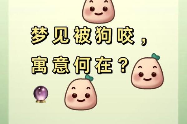 梦见可爱的小狗 梦见可爱的小狗