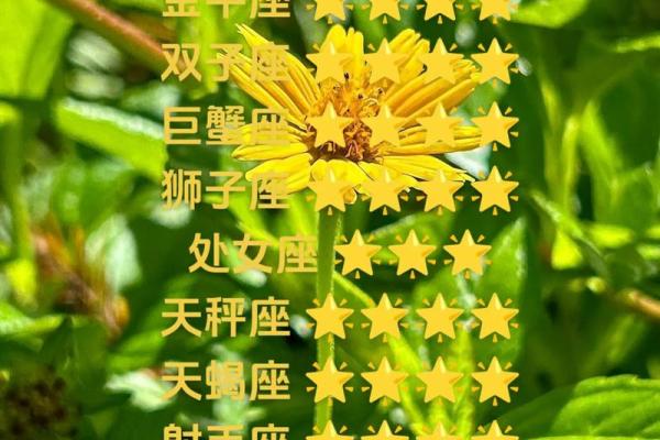 白羊座今天的运气女(白羊今天运势如何女)