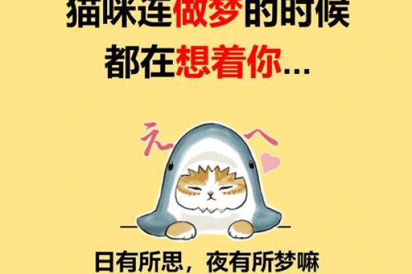 为什么女人梦见猫不好