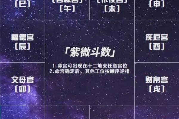 2025年4月1日午时男命紫微斗数全解盘 2025年4月1日午时男命紫微斗数全解盘