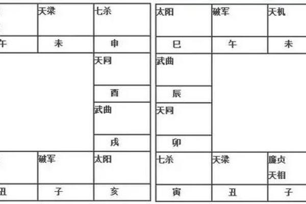 2025年4月4日戌时男命紫微斗数全解盘 2025年4月4日戌时男命紫微斗数全解盘