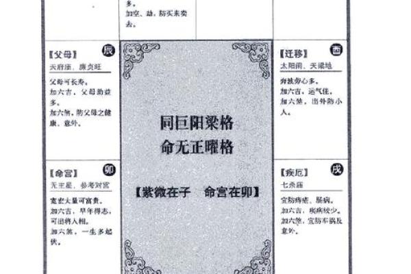 2025年4月4日卯时男命紫微斗数全解盘