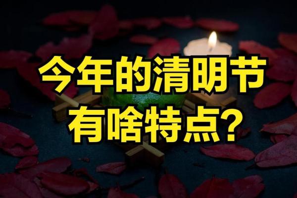 2025年什么日子(2025年什么日子扫墓最好)