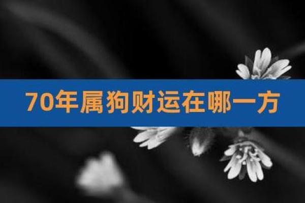 70年属狗女今天财运_70年属狗女今天财运怎么打麻将