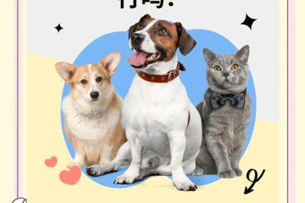 2006年狗五行属什么_2006年狗五行属性