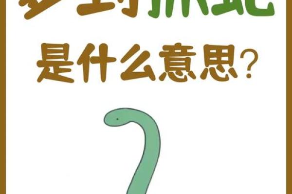 经常梦到蛇是什么征兆 女性