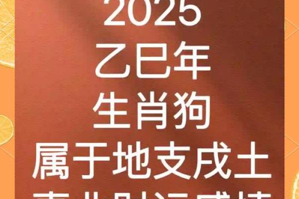 1982年属狗2025年运势完整版_1982年属狗2025年运势及运程详解