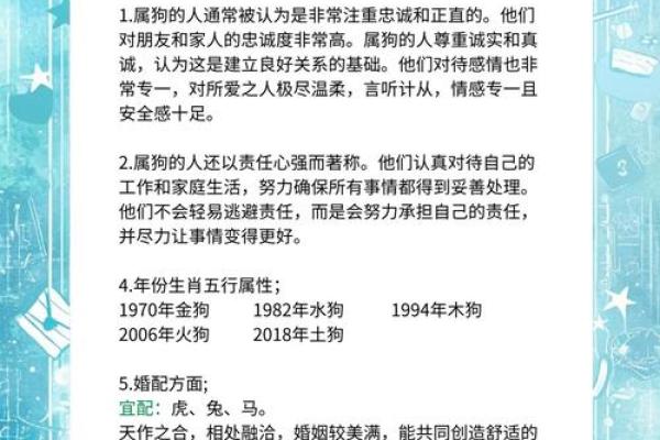 1982的狗是什么命 五行属什么 1982年属狗五行属什么命运解析与运势指南