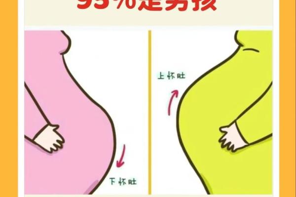 梦见别人生男孩