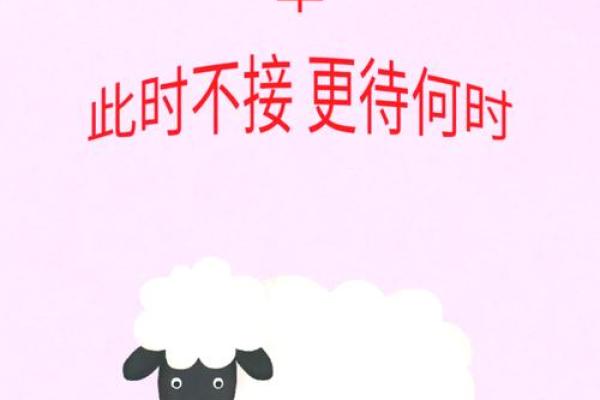 2025年属羊人的命运 2025年2003属羊人的全年运势