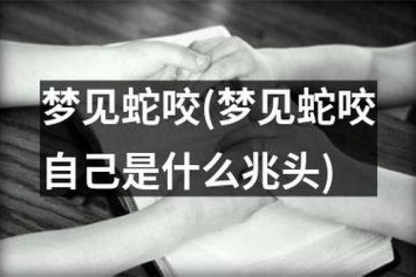 梦见蛇是什么预兆男人周公解梦 梦见蛇是什么预兆男人周公解梦