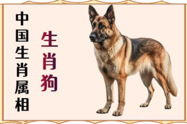 2006年属狗男孩一生命运 2006年属狗18岁有一灾