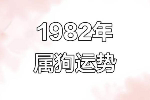 82年属狗2025年的运势及运程 2025年属狗运势解析82年出生者运程全揭秘