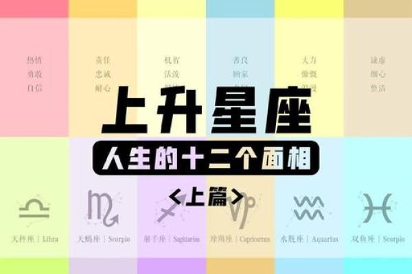 生日命运：八月十七是什么星座？