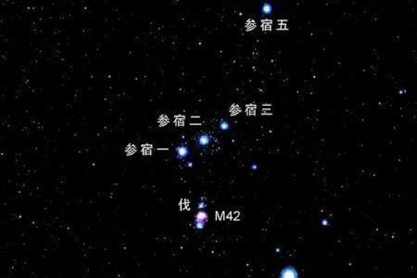一年四季处于泥菩萨过河状态的星座